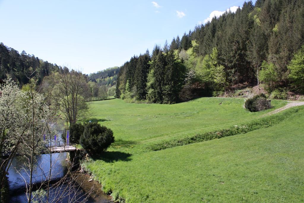 Business Class Hotel Haeckermuehle Tiefenbronn Luaran gambar